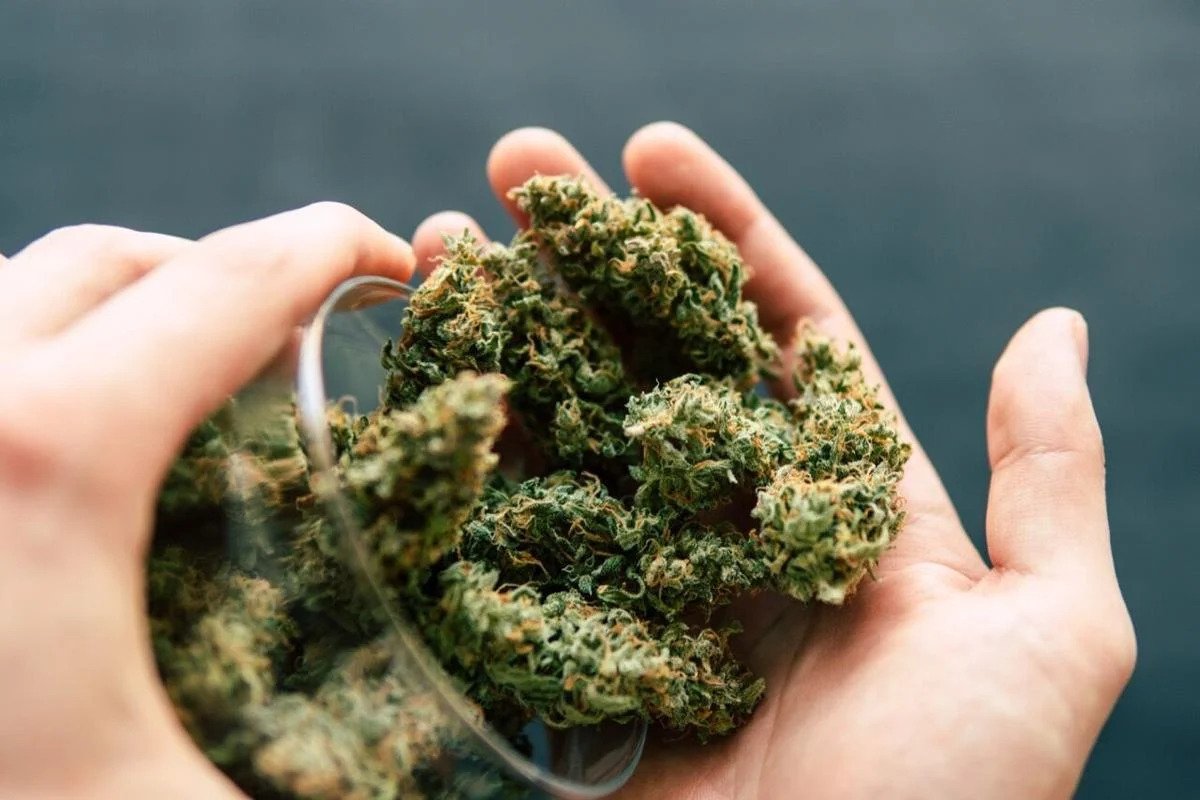 Euro Weed Clinic Lifestyle: Excellence & Quality for Those Who Buy Marijuana Online Europeand
